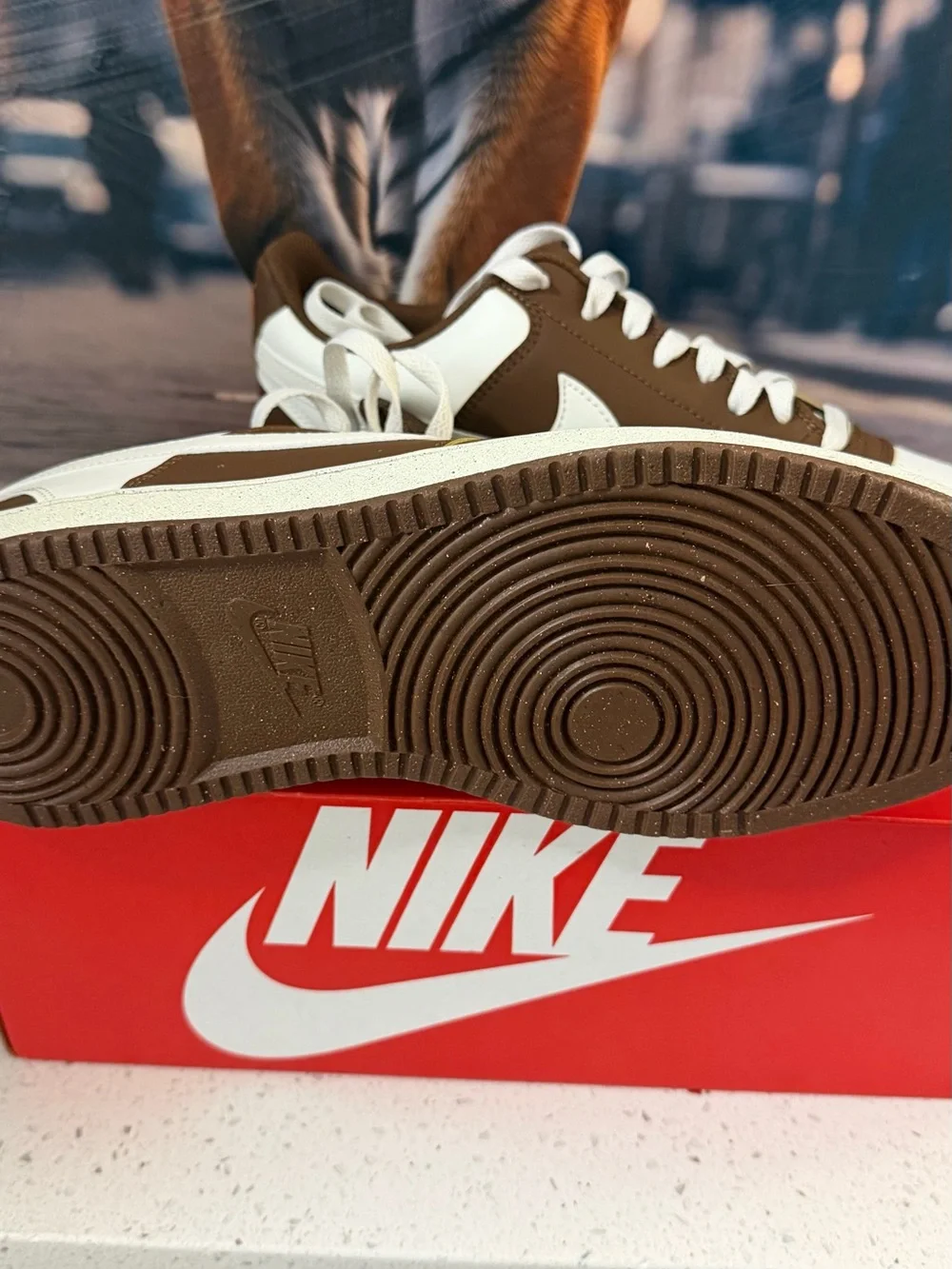 Nike Low-Top Sneakers in Brown and White